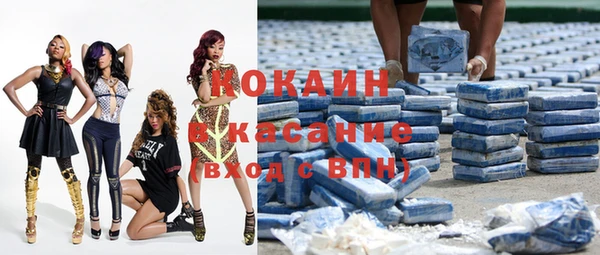 стафф Алексин