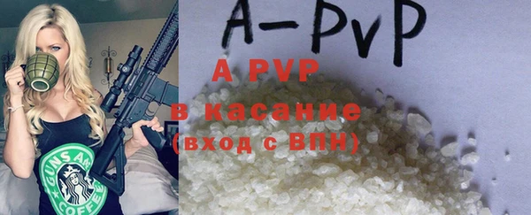 стафф Алексин