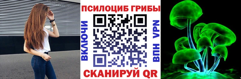 блэк спрут маркетплейс  наркотики  Алупка  Псилоцибиновые грибы прущие грибы 